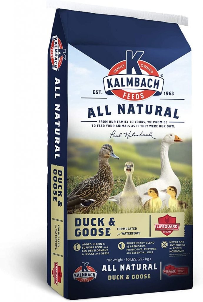 Best Feed for Ducks and Geese: Kalmbach All Natural