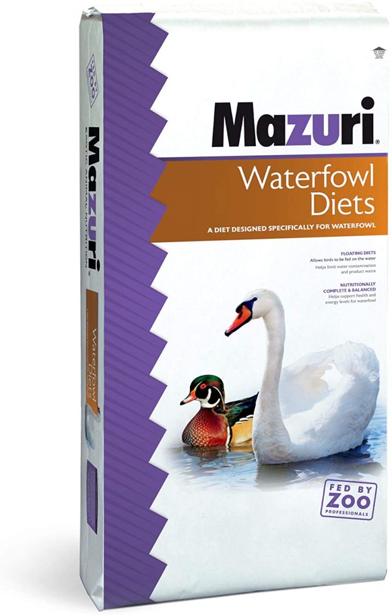 Best Feed For Ducks —Top Duck Feed Review and Buying Guide