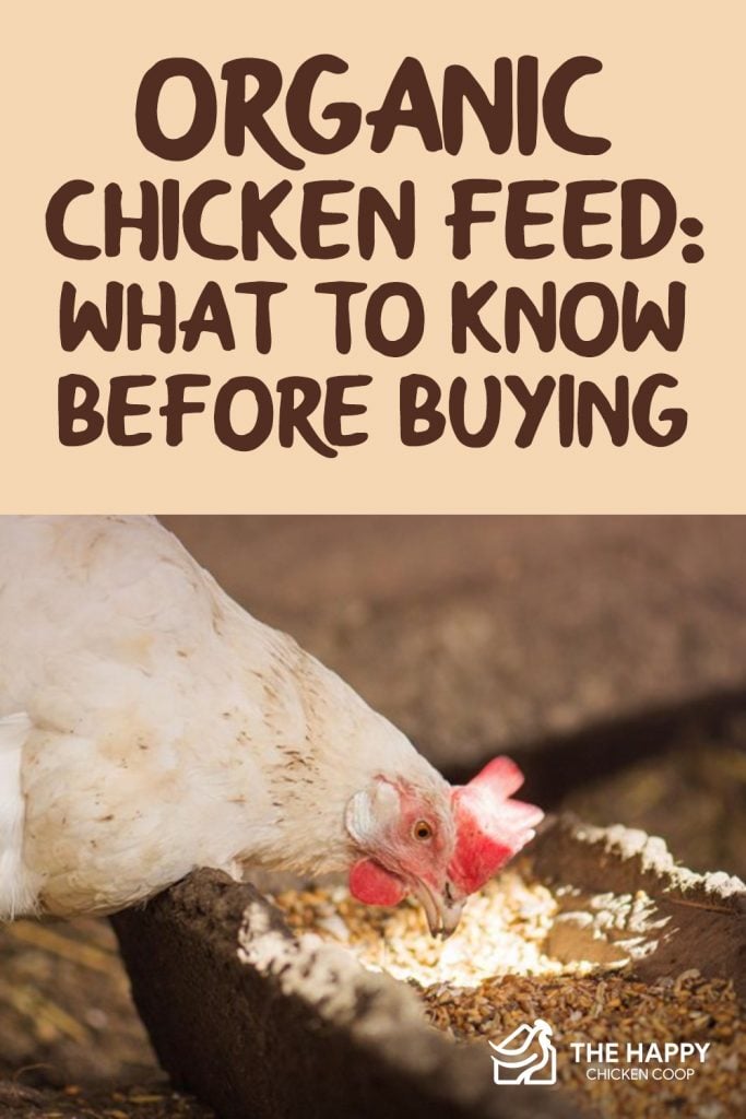 Organic Chicken Feed