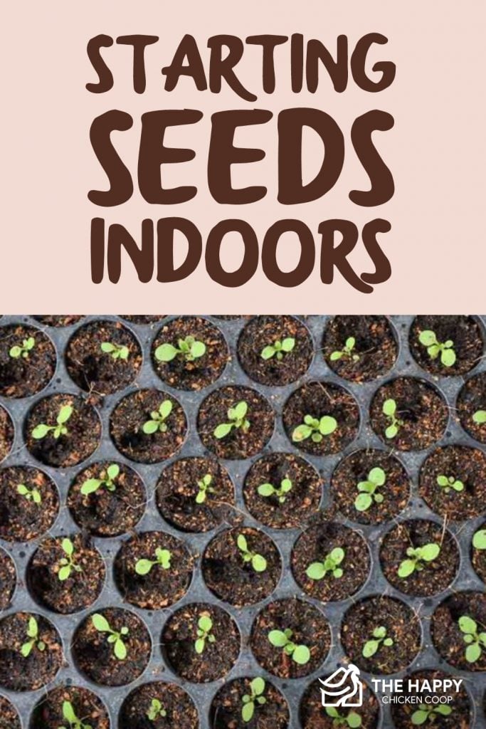 Starting Seeds Indoors