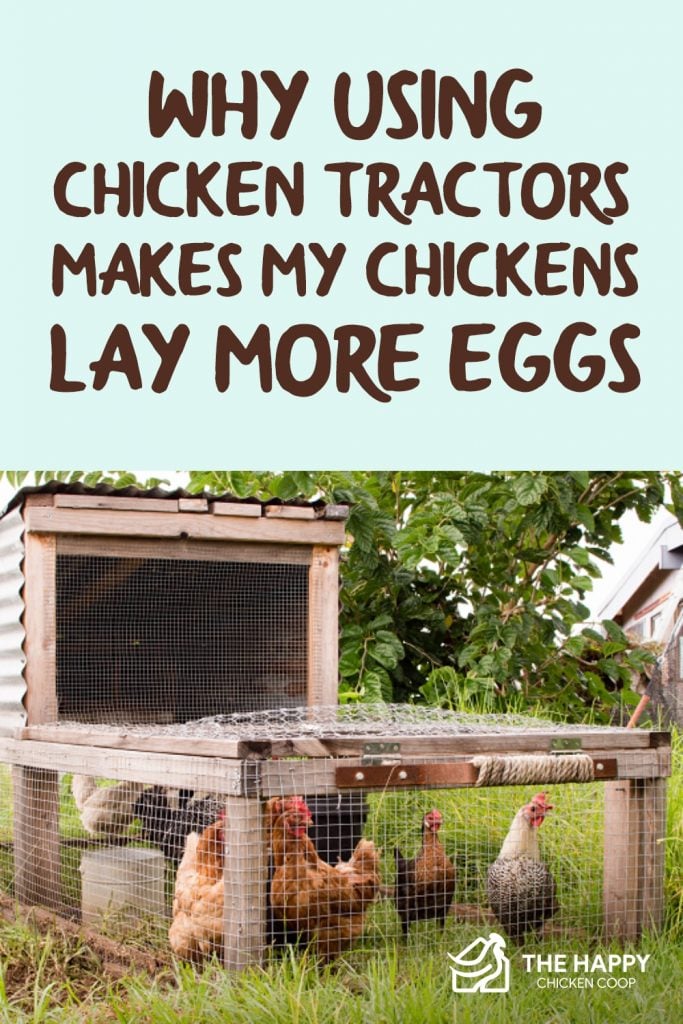 Why Using Chicken Tractors Makes My Chickens Lay More Eggs 