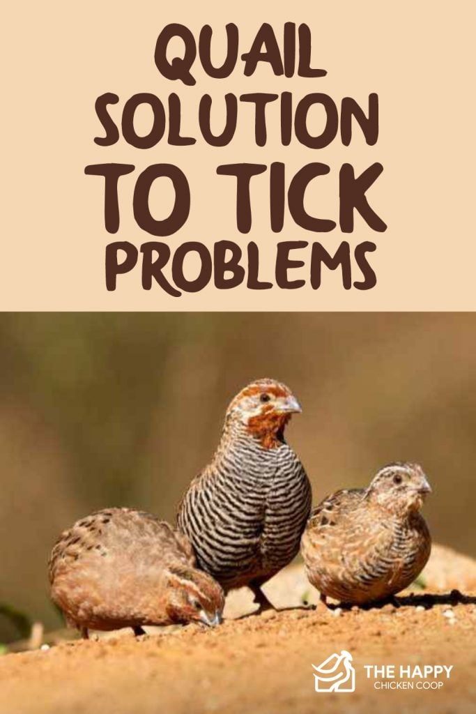 Quail Solution to Tick Problems