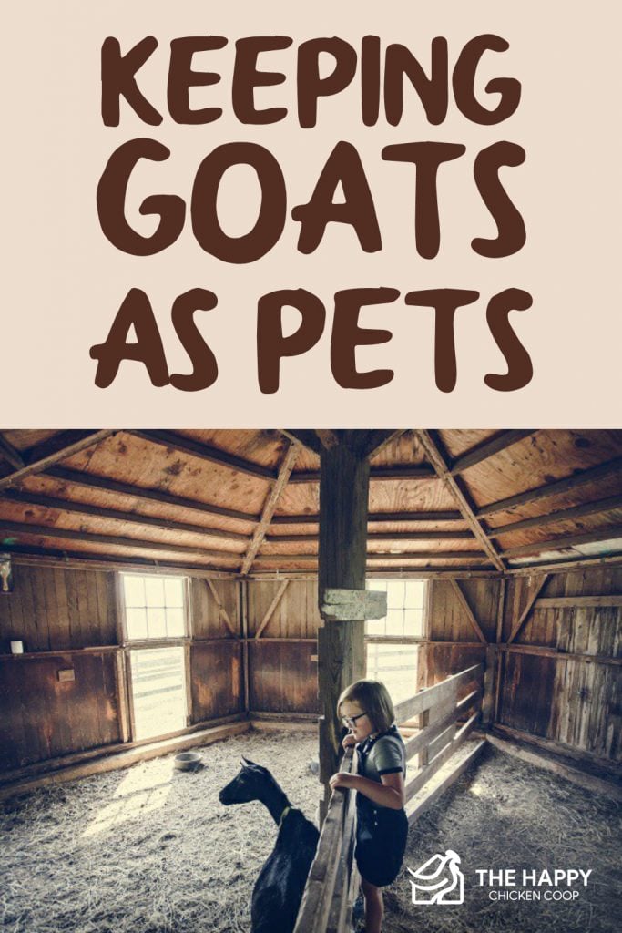 Keeping Goats As Pets 