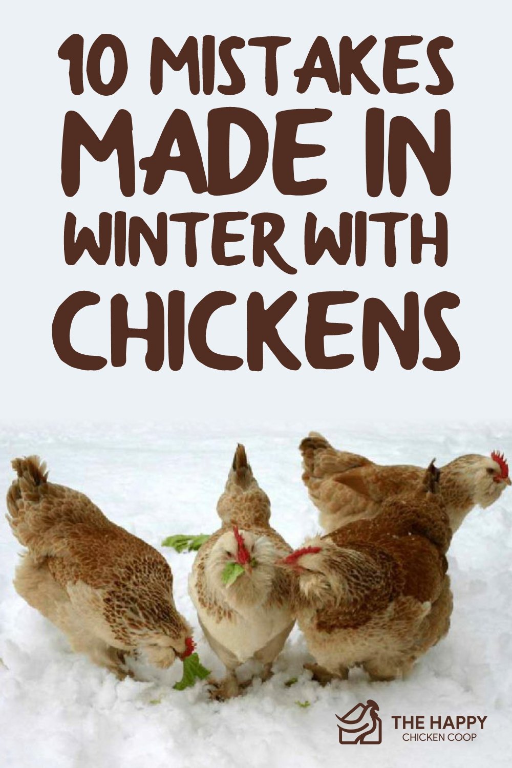 10 Mistakes Made In Winter With Chickens