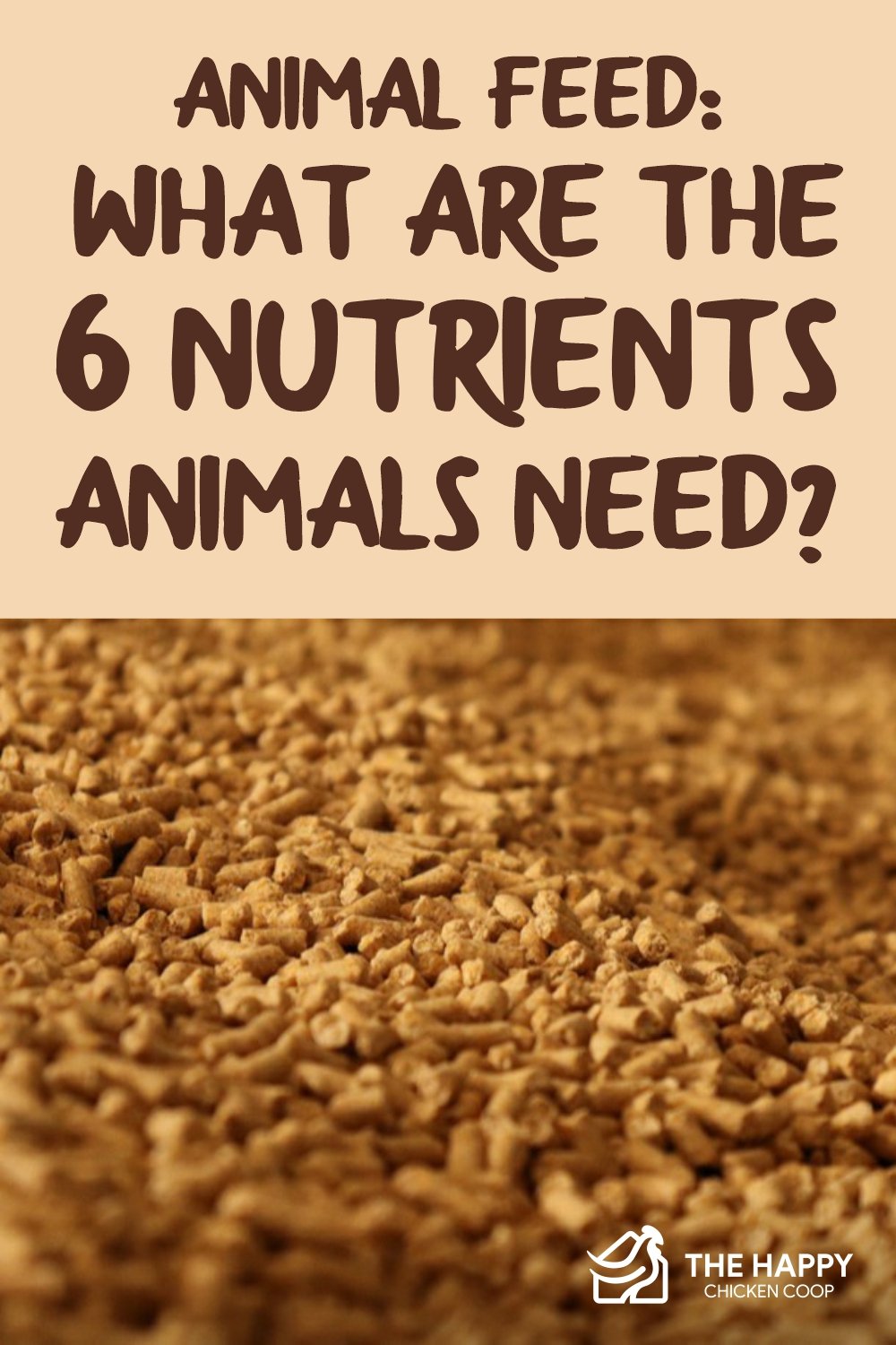 Animal Feed: What Are the 6 Nutrients Animals Need? Animal Feed: What Are the 6 Nutrients Animals Need?