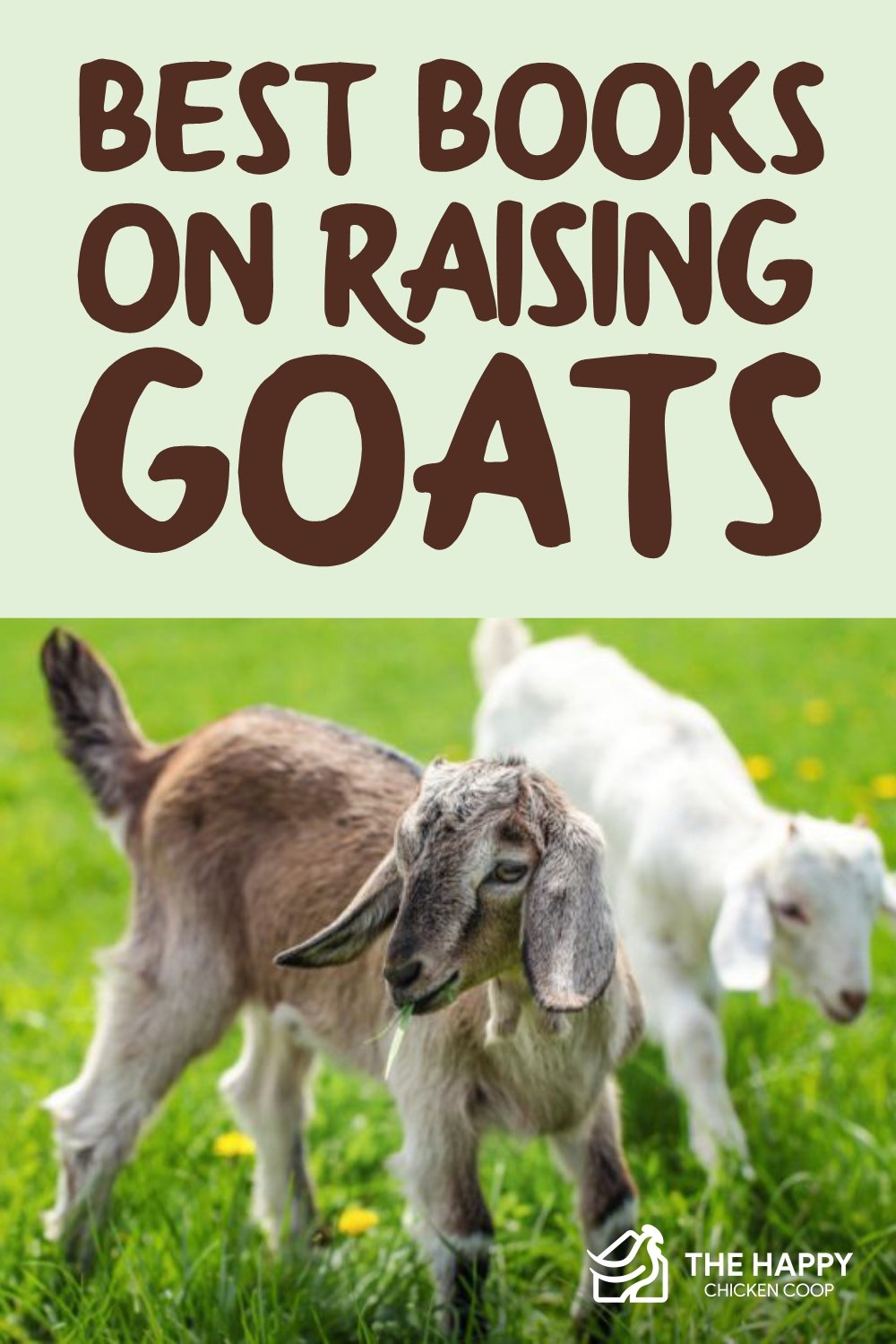 Best Books on Raising Goats