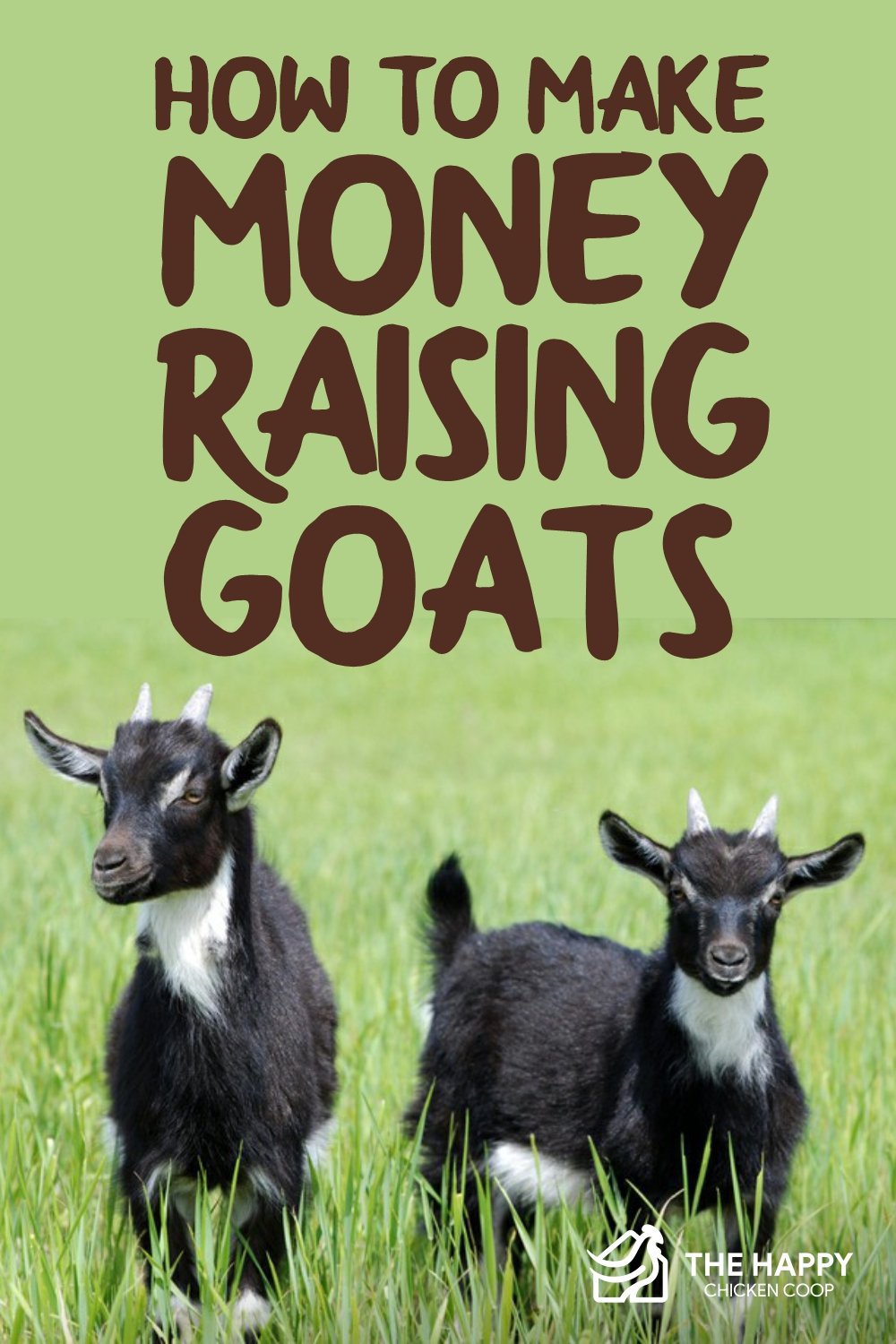 Making Money with Goat Milk Soap - Countryside