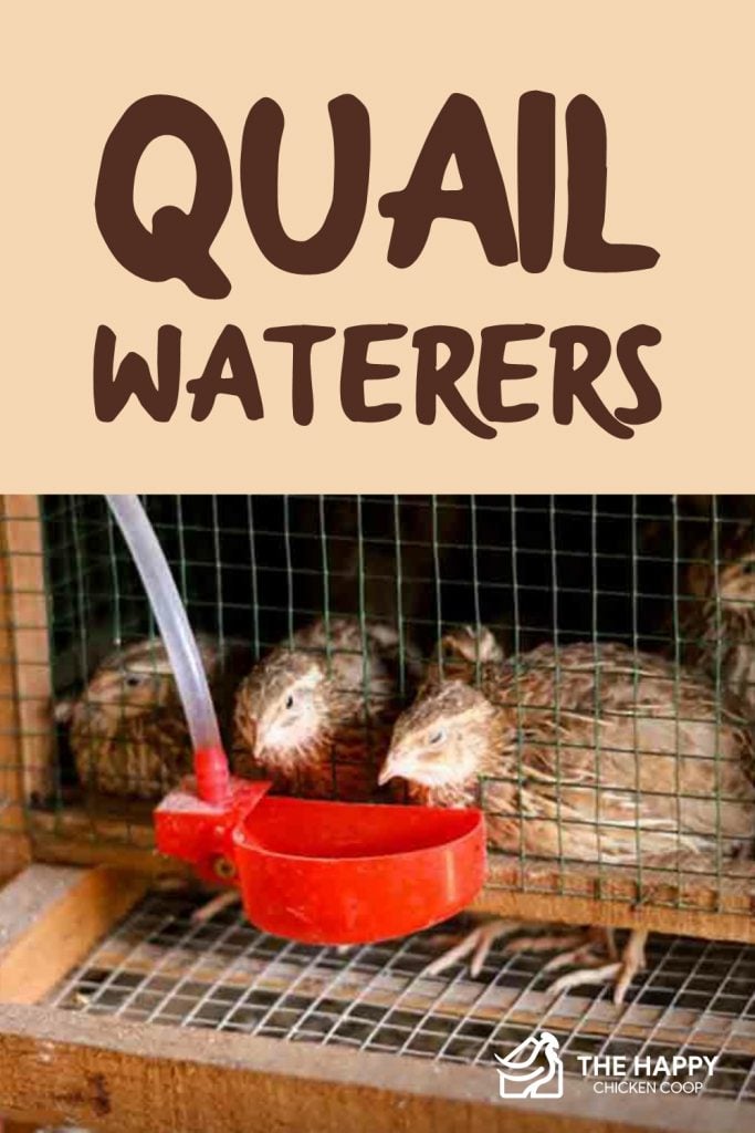 Quail Waterers