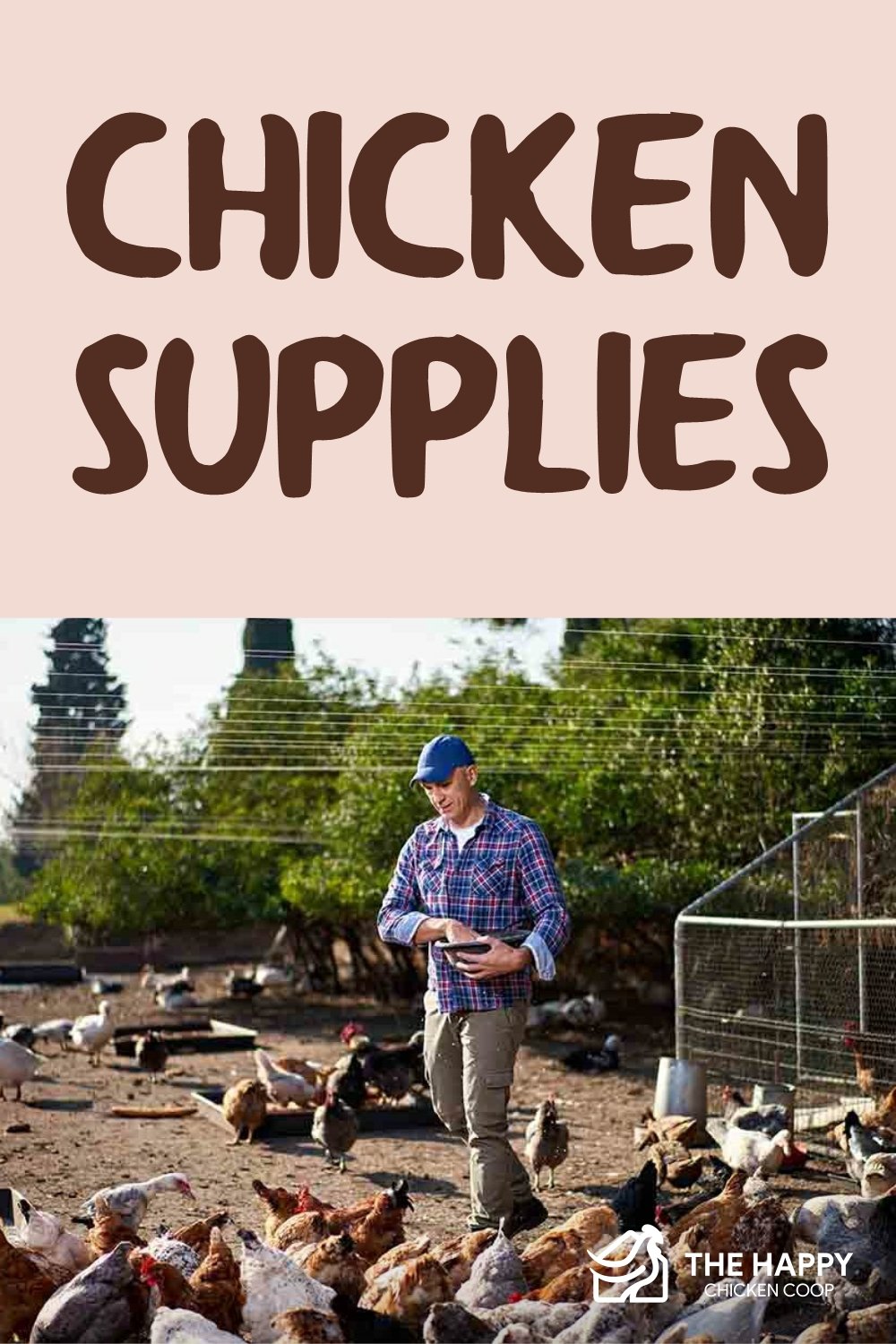 chicken supplies