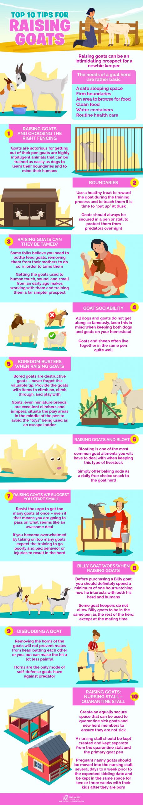 Raising Goats