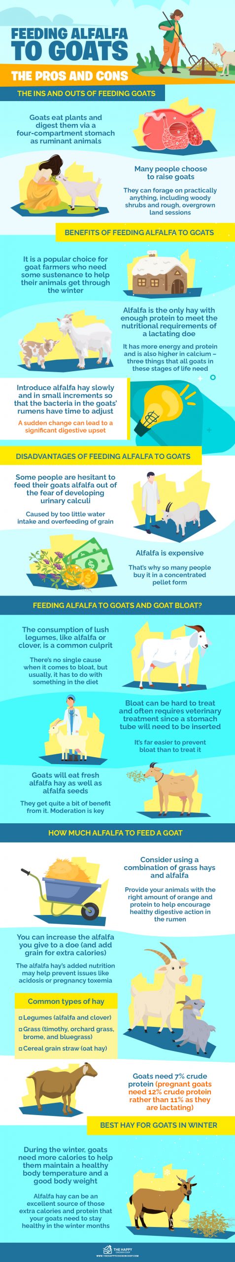 Feeding Alfalfa to Goats