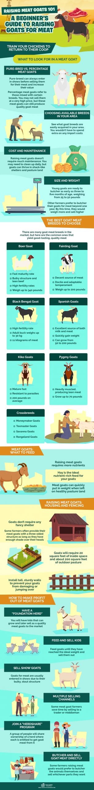 Raising Meat Goats 101 A Beginner’s Guide to Raising Goats for Meat