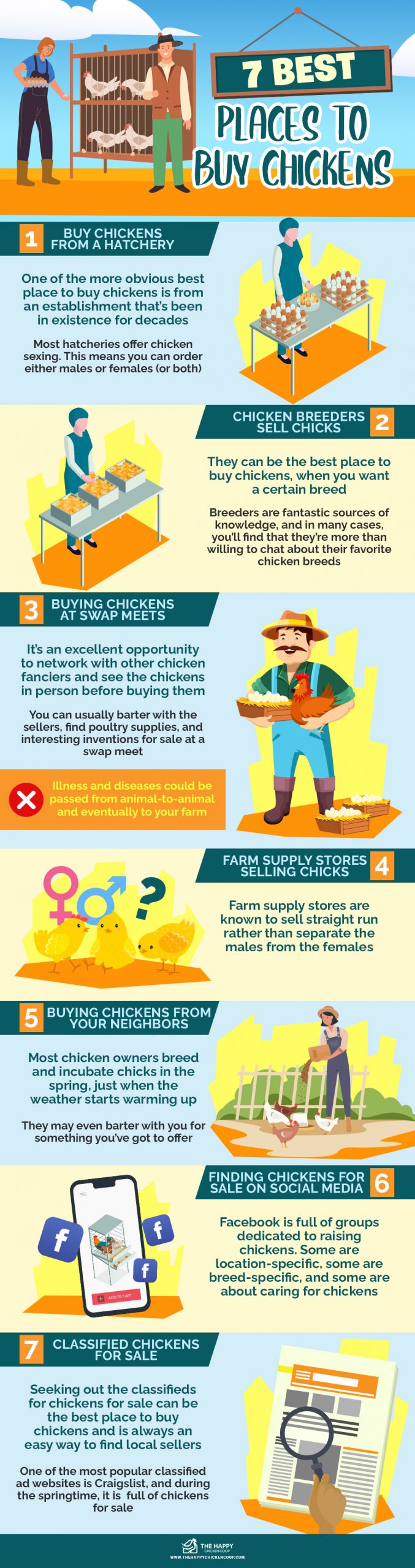 The 7 Best Places To Buy Chickens