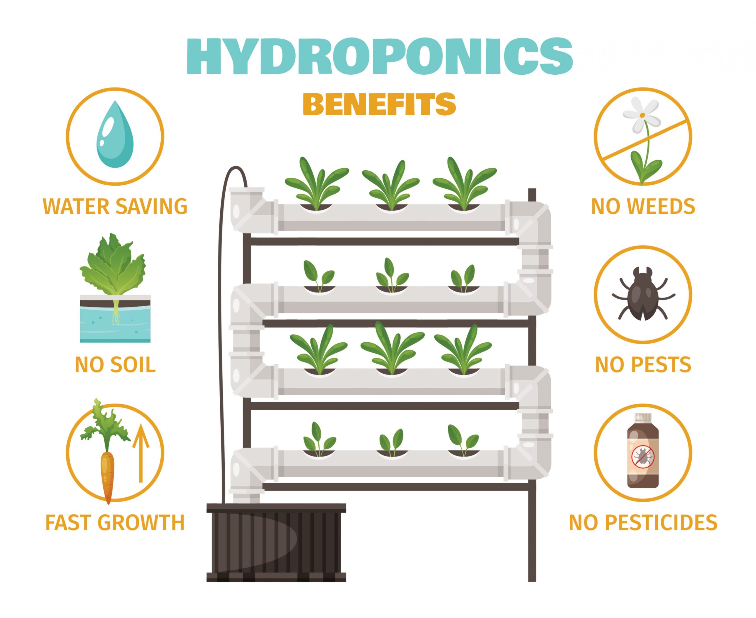 advantages of hydroponic farming