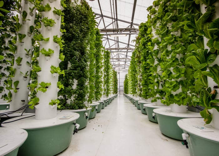 aeroponic farming vs hydroponic