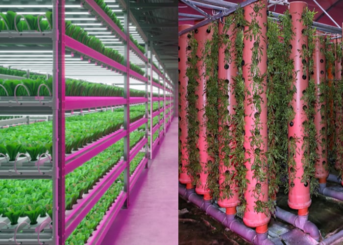 hydroponic and aeroponic farming