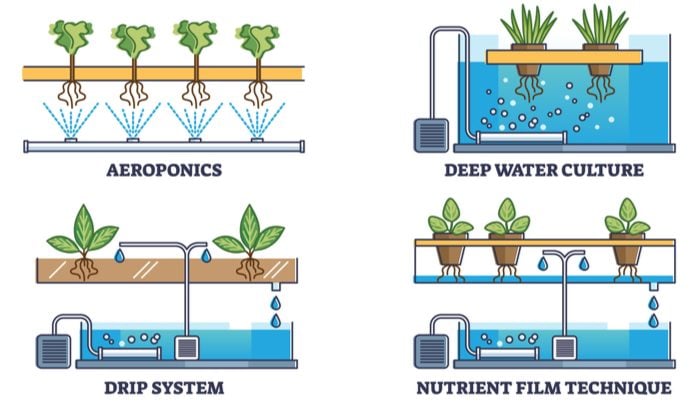 hydroponic vs aeroponic farming