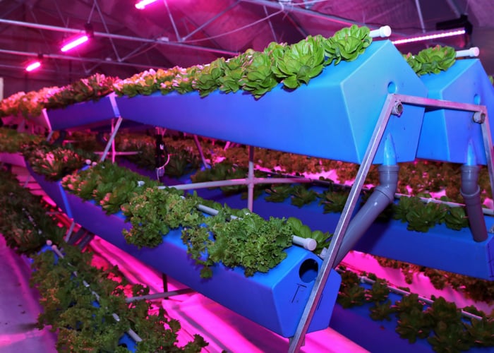 hydroponics aeroponics