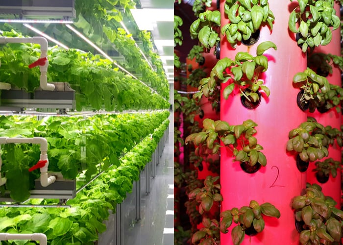 hydroponics and aeroponics