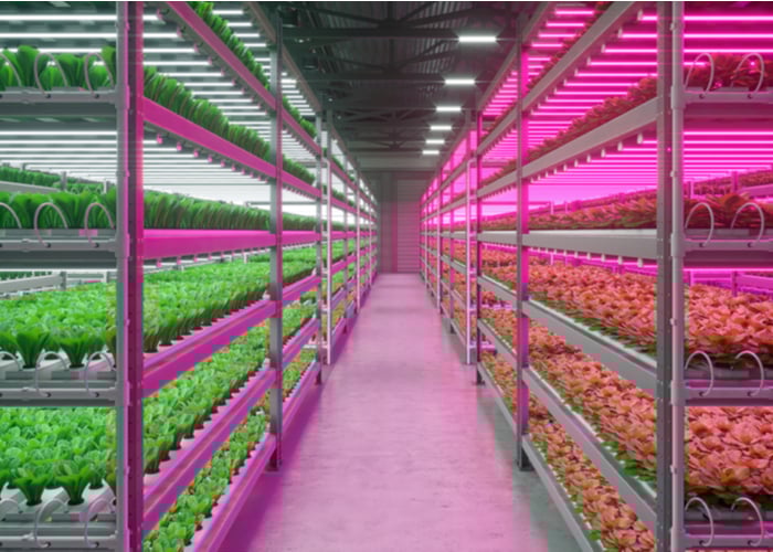 what is hydroponics in agriculture