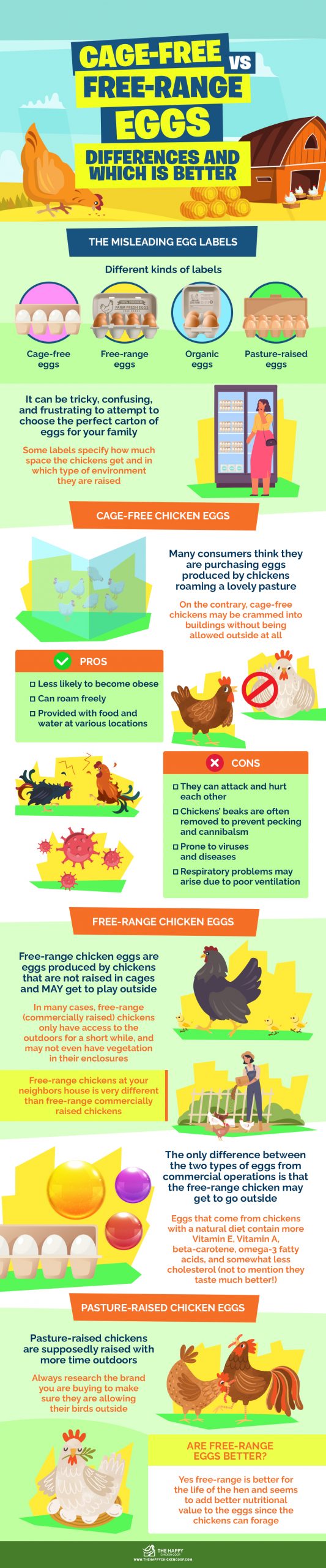 Cage-Free vs Free-Range Eggs Differences and Which is Better infographics