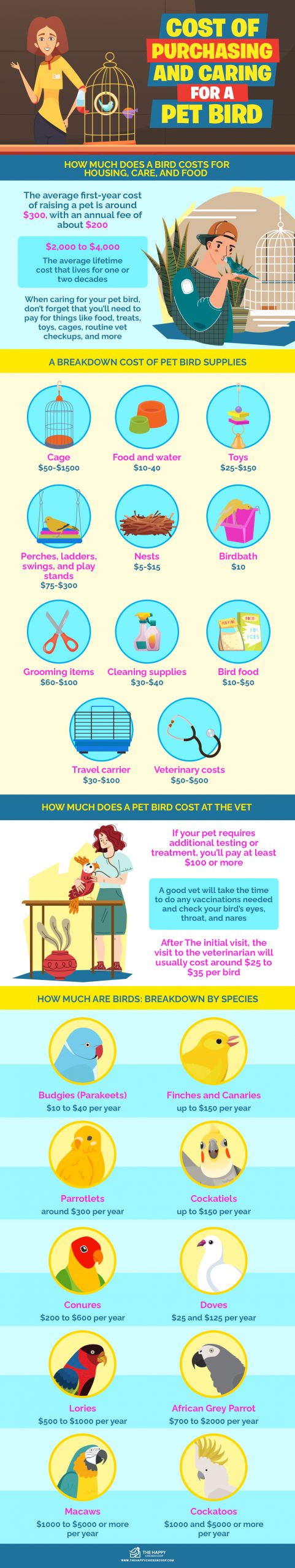 Cost of Purchasing and Caring for a Pet Bird infographics