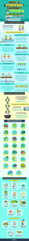 What is Hydroponic Farming? - Beginner's Guide