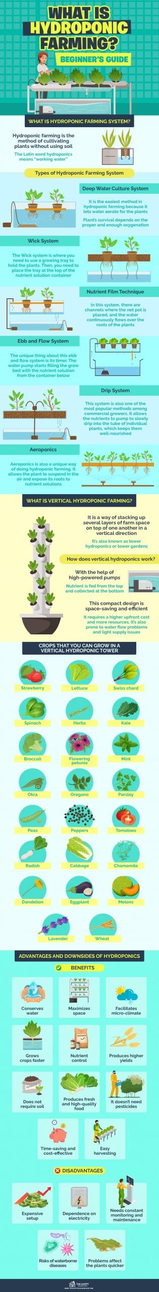 What is Hydroponic Farming infographics