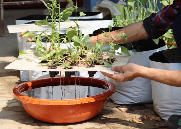 What is needed for hydroponic gardening: reservoir