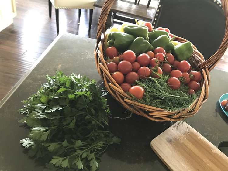 chicken in a garden successful harvest