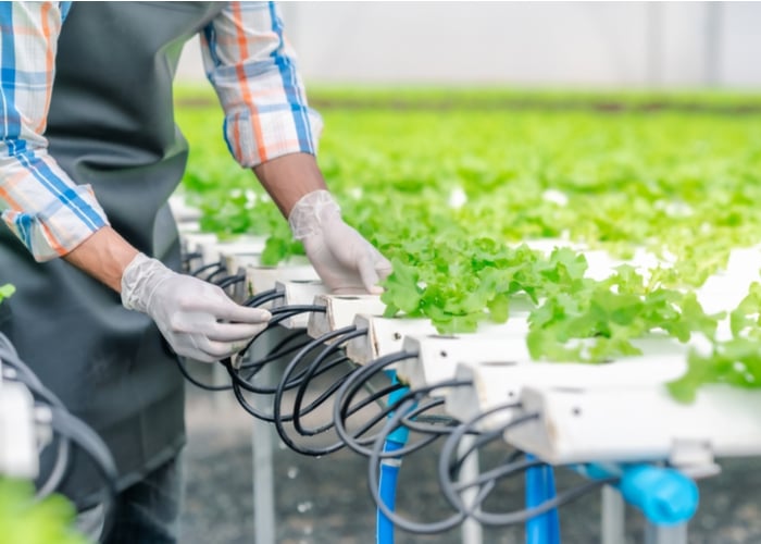 equipment for hydroponics