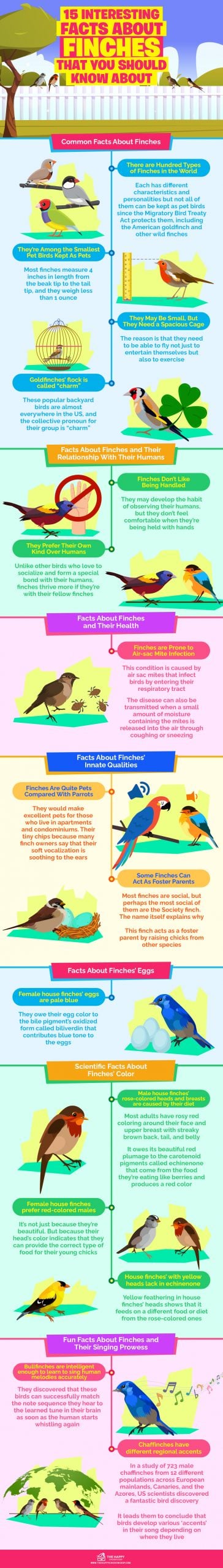Finches infographics