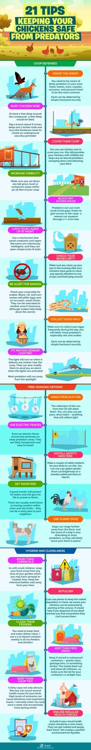 21 tips Keeping Your Chickens Safe From Predators infographics