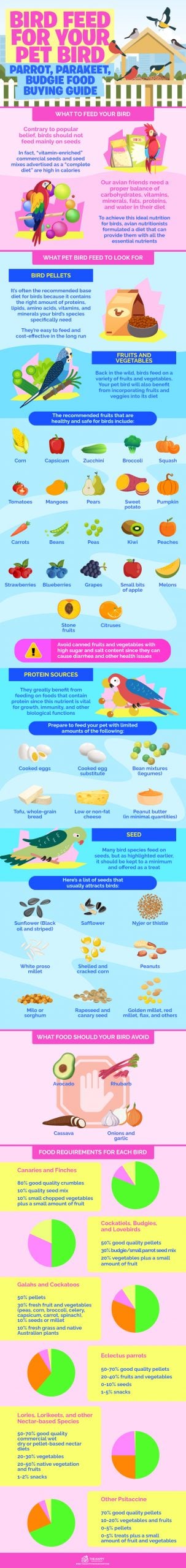 Bird Feed for Your Pet Bird infographics