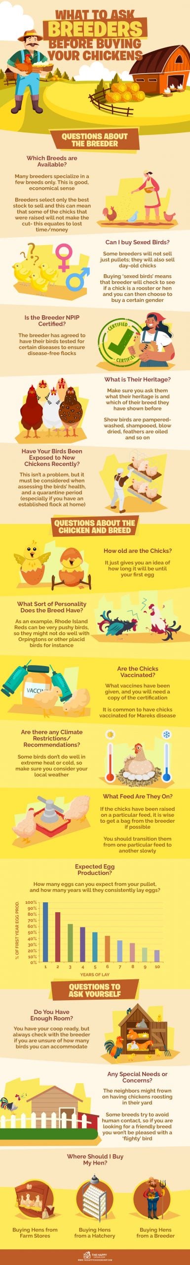 What to Ask Breeders before Buying Your Chickens infographics