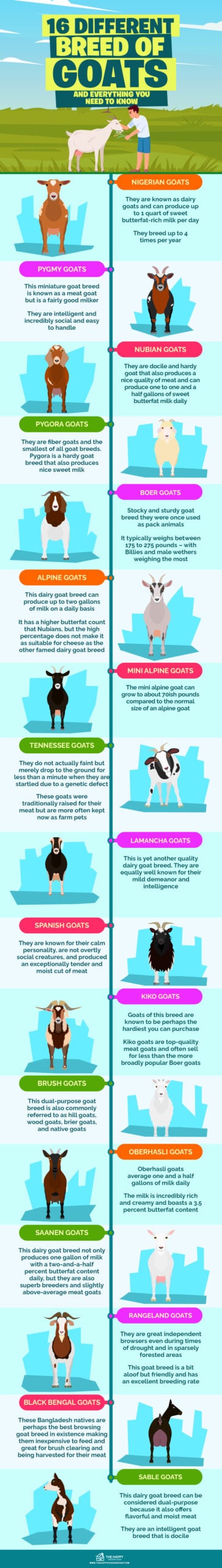 16 Different Breed of Goats and Everything You Need to Know infographics