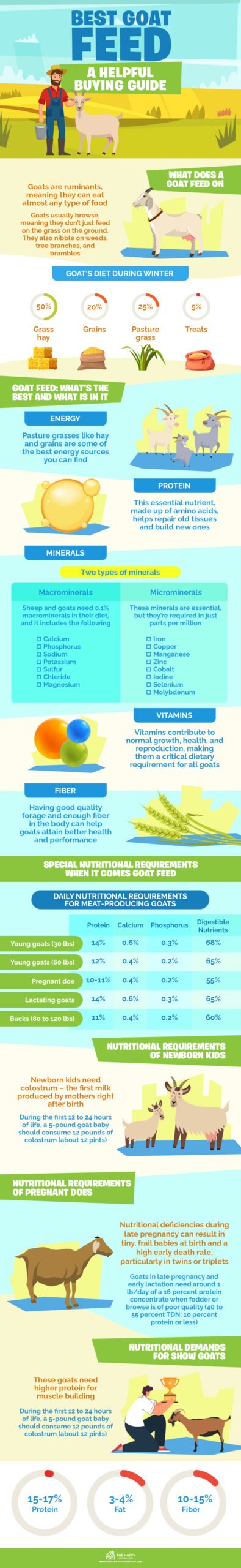 Best Goat Feed infographics