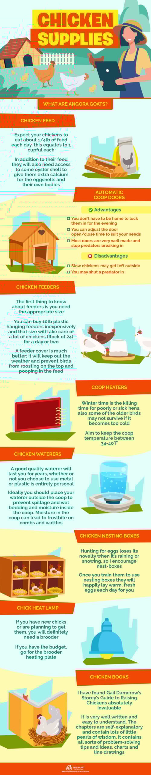 Chicken Supplies 7 Things Every Flock Needs infographics