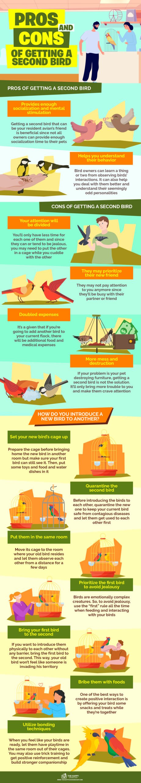 The Pros and Cons of Getting a Second Bird infographics