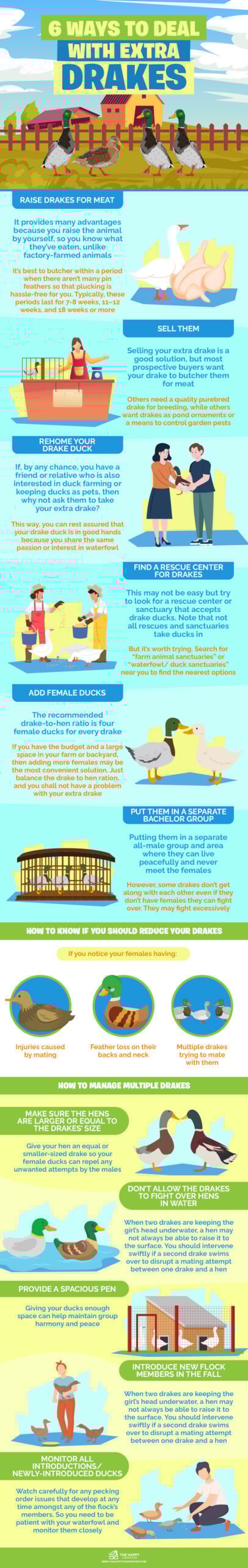 Ways to Deal With Extra Drakes infographics