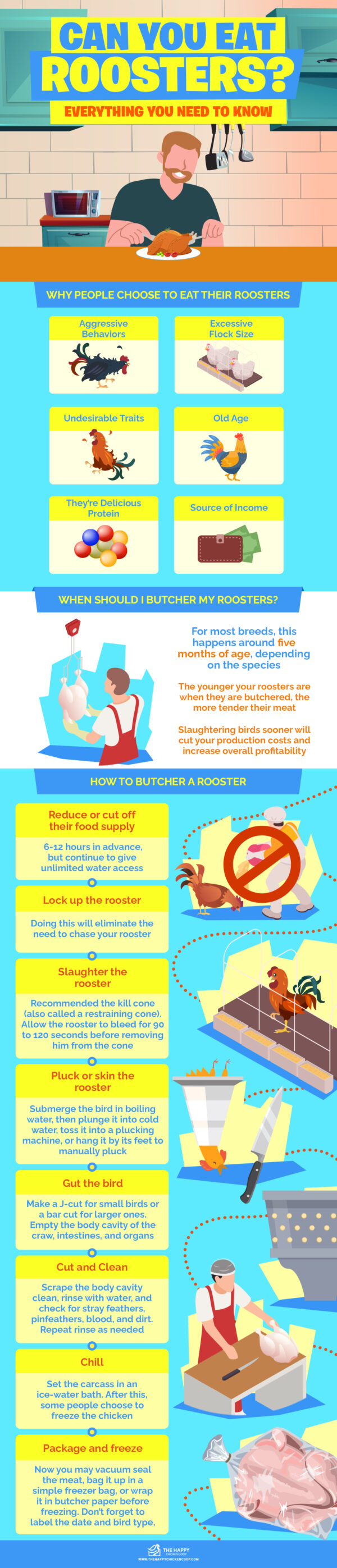 Can You Eat Roosters? Everything You Need To Know