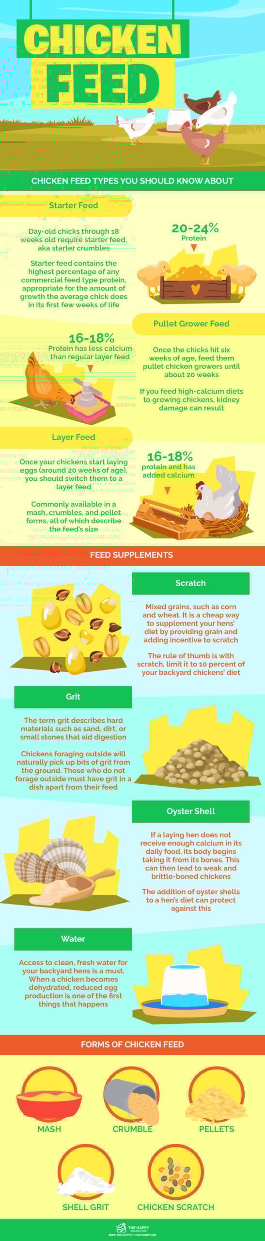 Chicken Feed Brands infographics