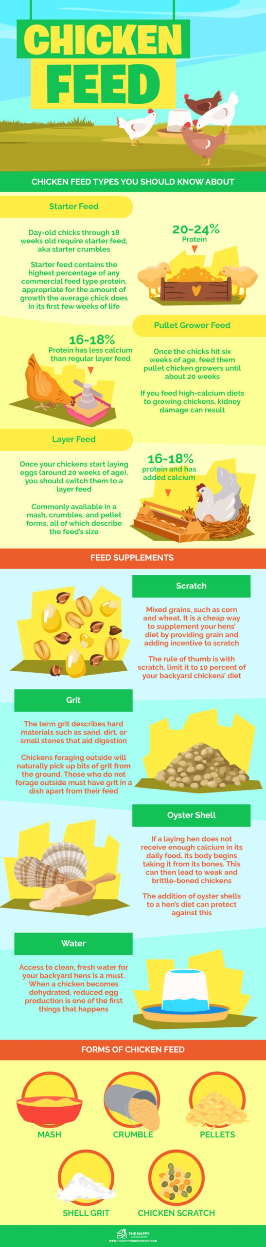 Chicken Feed Brands infographics