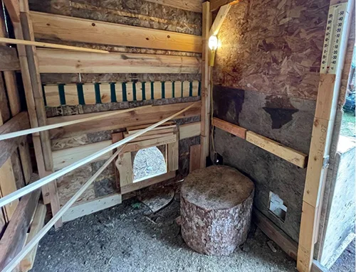 How To Make A Chicken Coop Door