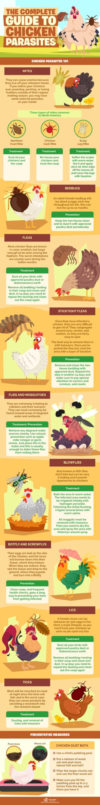 The Complete Guide To Chicken Parasites Infographics