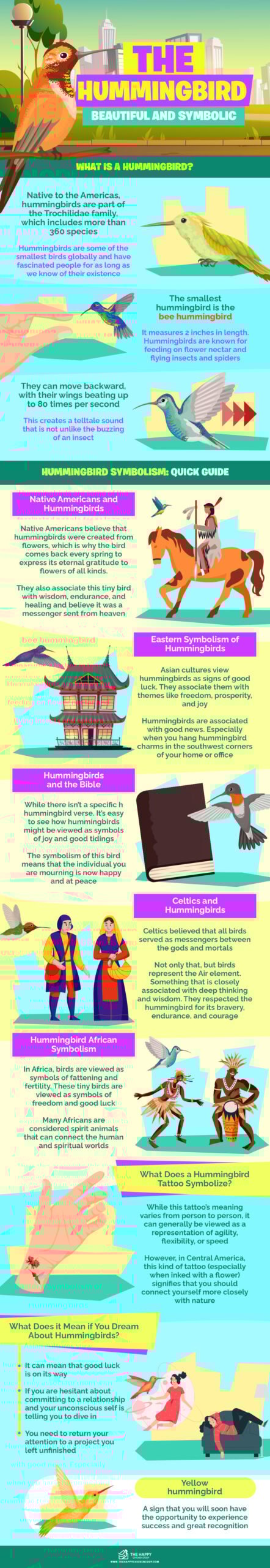The Hummingbird infographics