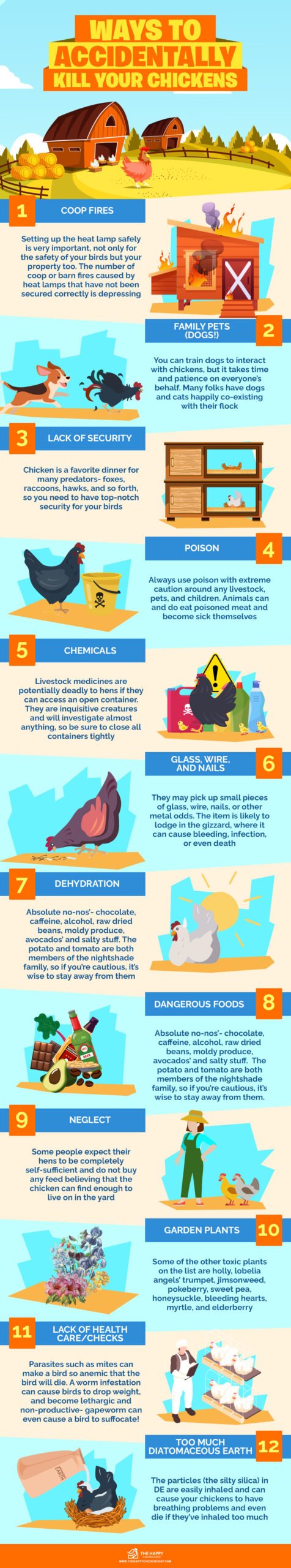 Ways to Accidentally Kill Your Chickens infographics