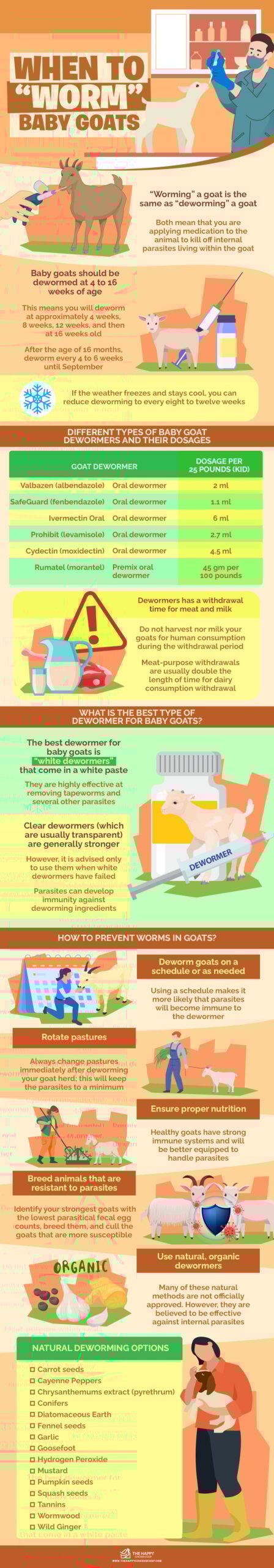 When To Worm Baby Goats Infographics