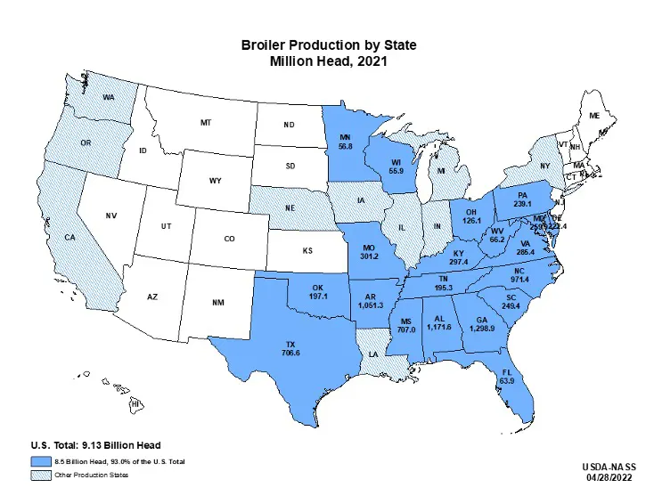 Broiler production by state