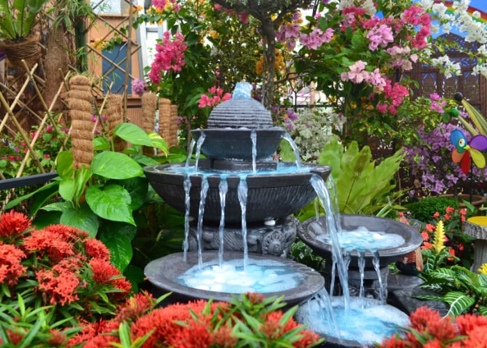 Source of Water for Bees